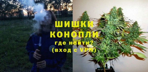 хмурый Богородицк