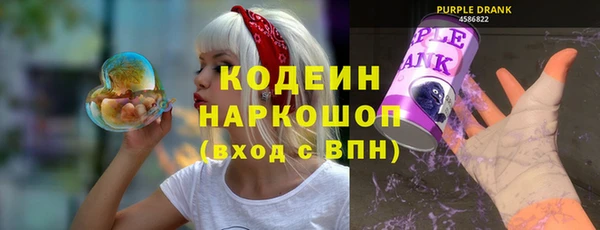 хмурый Богородицк