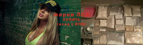спайс Богданович