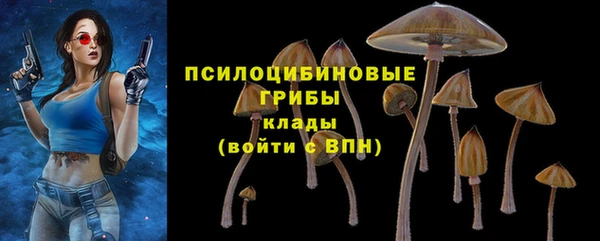 прущие крисы Богородск