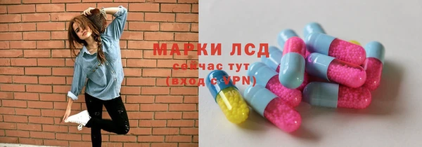 спайс Богданович