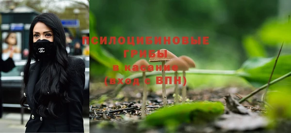 прущие крисы Богородск