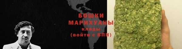 спайс Богданович