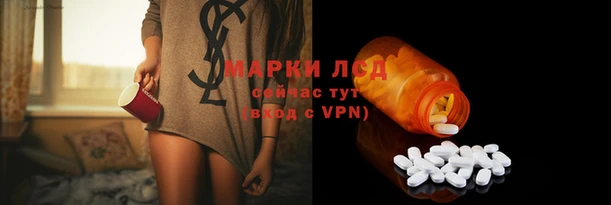 спайс Богданович