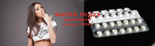 спайс Богданович
