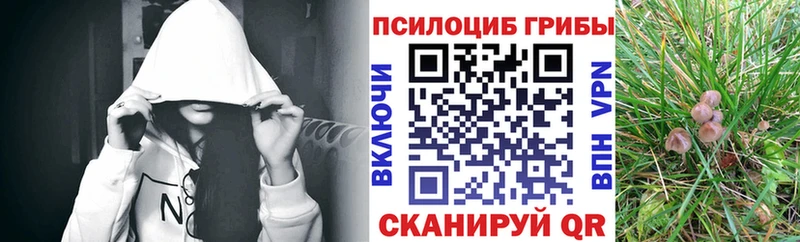 Галлюциногенные грибы MAGIC MUSHROOMS  omg   Кирс 